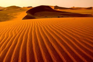 纳米比亚大沙漠
