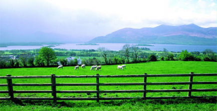 爱尔兰的乡村